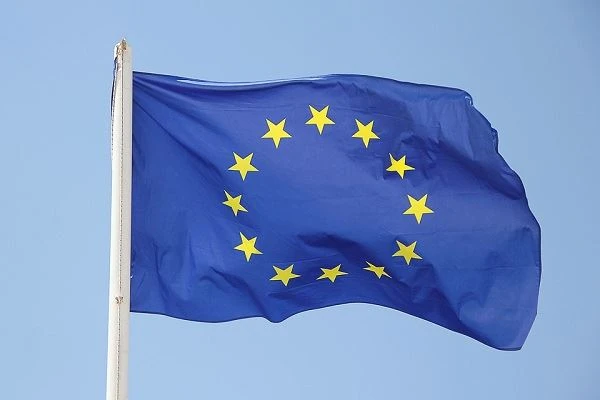 UE începe să înregistreze importurile de elemente de fixare din oțel carbon d...