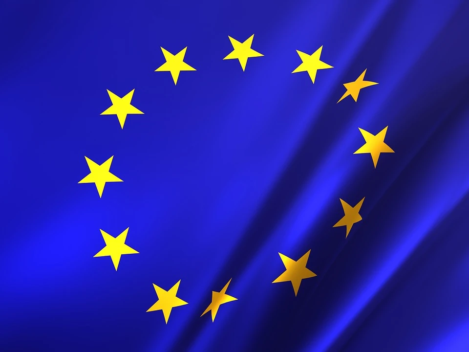 UE impune taxe anti-dumping definitive la importurile anumitor elemente de fi...